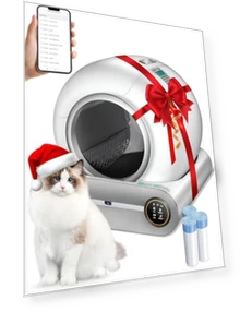Self Cleaning Litter Box — Waste Bins, DuckSky