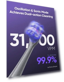 Whitening Electric Toothbrush for Adults — Sonic Electric Toothbrushes, Bixdo