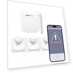 Smart Water Leak Detector — Water Leak Detection Systems, Baldr