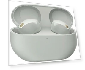 Wireless Earbuds — In-Ear Headphones, Sony