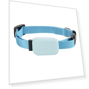 GPS Tracker with Adjustable Collar — Trackers, Toool-Home
