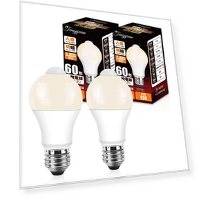 LED Light Bulbs with Motion Sensor — Lighting Solutions, Tengyuan