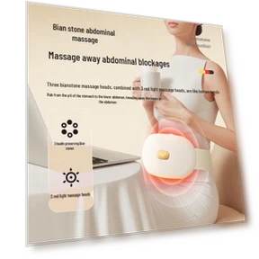 Smart Abdominal and Waist Massager — Rehabilitation & Therapy Equipment, CLORIS