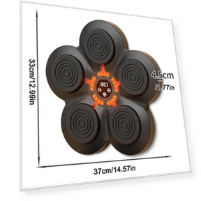 Smart Music Boxing Trainer — Training Focus Mitts, Binchi Keji Travel