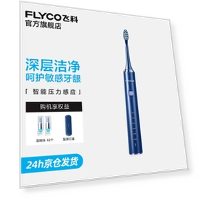 Smart Sonic Electric Toothbrush — Sonic Electric Toothbrushes, FLYCO