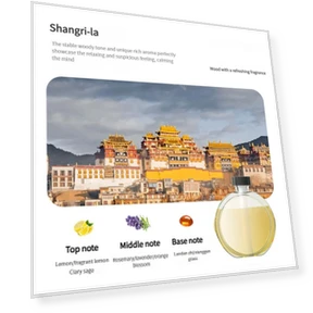 Smart Wall Diffuser for Essential Oils — Diffusers, Homeware Essentials