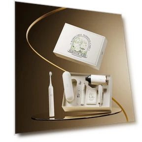 Sonic Electric Toothbrush Gift Set — Electric Toothbrush Heads, Ai You