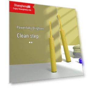 Sonic Electric Toothbrush — Ultrasonic, Shangheng