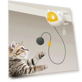 Automatic Lifting Interactive Cat Toy Ball — Exercise Wheels, Your Customized Mall