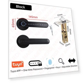 Biometric Door Lock — Card Readers, Ideal World