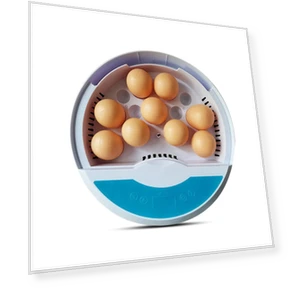 Egg Incubator with Temperature Display — Egg Trays, TOMTOP JMS