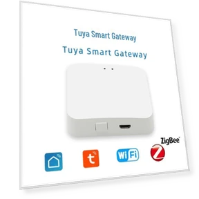 Graffiti Zigbee Smart Home Central Controller Gateway Host — Smart Home Hubs & Controllers, GadgetGrip