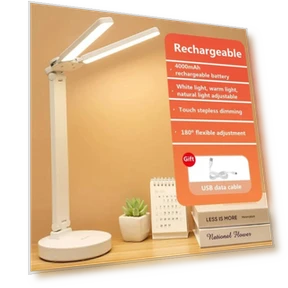 LED Desk Lamp with Night Light — Study & Desk Lighting, Mode Closet