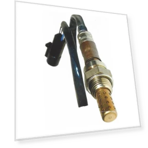 Oxygen O2 Sensor — , Walker