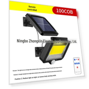 Solar LED Wall and Path Light with Motion Sensor — Outdoor Security & Flood Lighting, WIN-WIN