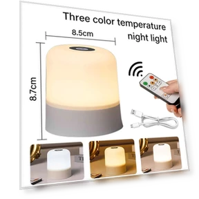 Touch and Remote Control LED Desk Lamp — Standing Lights, Home Of Auto Parts