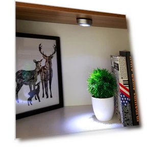 Touch Sensor Light with 3 LEDs — Reading Lights, Global Finds