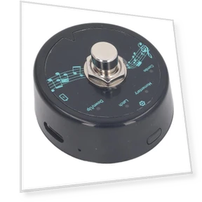 Wireless MIDI Foot Controller — Portable Audio, Painter