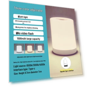 Wireless Rechargeable Touch Night Light — Night Lights, Global Finds