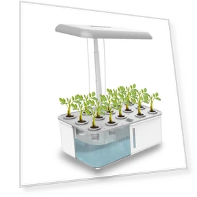 Hydroponic System with LED Grow Light and Automatic Pump — Growing Lamps, Automobile Club