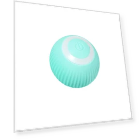 Interactive Cat Toy Ball — Baby Balls & Playtime Essentials, Home Whispers