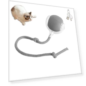 Interactive Rolling Ball Pet Toy — Balls, Bestbags