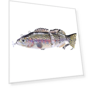 Robotic Fishing Lure — Artificial Bait, leayond