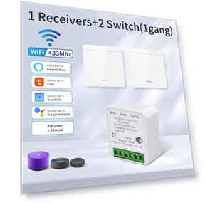 WiFi Smart Switch — Smart Home Modules, Tuya