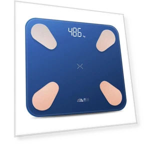 Dual-Frequency Smart Body Fat Scale — Body Composition Analysis, Xiangshan