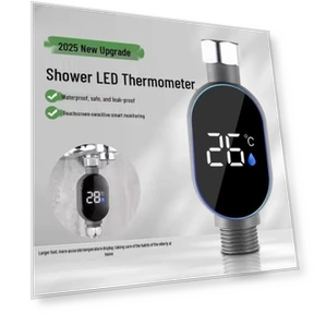 LED Shower Head with Temperature Display — Fixed, Chose One