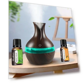 Mini Humidifier with Touch Control — Air Moisturizers, Automobile Club