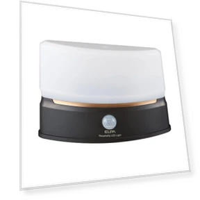 Motion Sensor Indoor Light — Close To Ceiling, ELPA