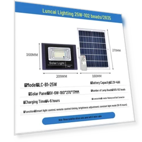 Outdoor Solar Floodlight — Outdoor Security & Flood Lighting, Chose One