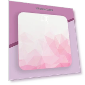 Rechargeable Smart LED Weight Scale — Weight Management Tools, BORO
