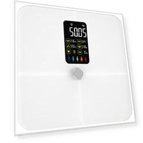 Smart Bluetooth Body Fat Scale — Weight Management Tools, WolAi