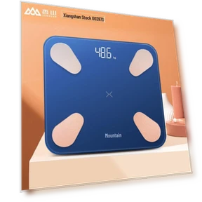 Smart Body Fat Scale with USB Charging — Weight Management Tools, Xiangshan