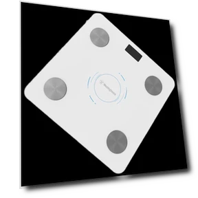 Smart Body Fat Scale — Weight Management Tools, Westinghouse