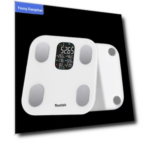 Smart Body Fat Scale — Body Composition Analysis, Xiangshan