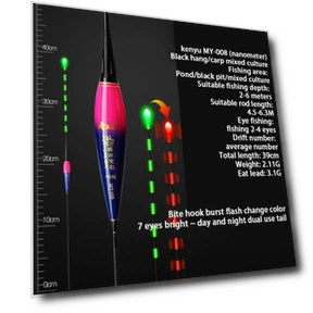 Smart Fishing Float with LED Color Change — Bite Indicators, zhipingingie