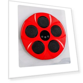 Smart Musical Boxing Target — Boxing Training Gear, Binchi Outdoor Equipment
