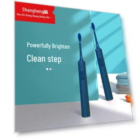 Smart Sonic Electric Toothbrush — Rotating Electric Toothbrushes, Shangheng