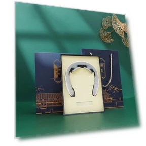 Cervical Neck Massager Gift Set — Back Relief Solutions, JDST online