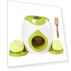 Fall Training Reward System — Toys, Super shoes Mall