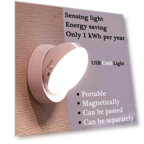 LED Night Light with USB Charging and Motion Sensor — Night Lights, Aura Living