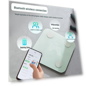 Smart Bluetooth Body Fat Scale — Weight Management Tools, Bear