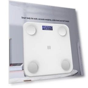 Smart Body Fat Scale — Weight Management Tools, ZengJie