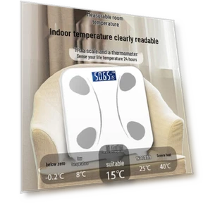 Smart Body Fat Scale — Weight Management Tools, Gufeisi