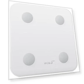 Smart Body Fat Scale — Weight Management Tools, WOLONOW
