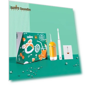 Smart Sonic Electric Toothbrush and Portable Water Flosser Set — Power Flossers, SAMPO