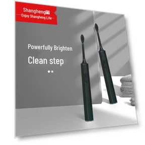 Smart Sonic Electric Toothbrush — Rotating Electric Toothbrushes, Shangheng